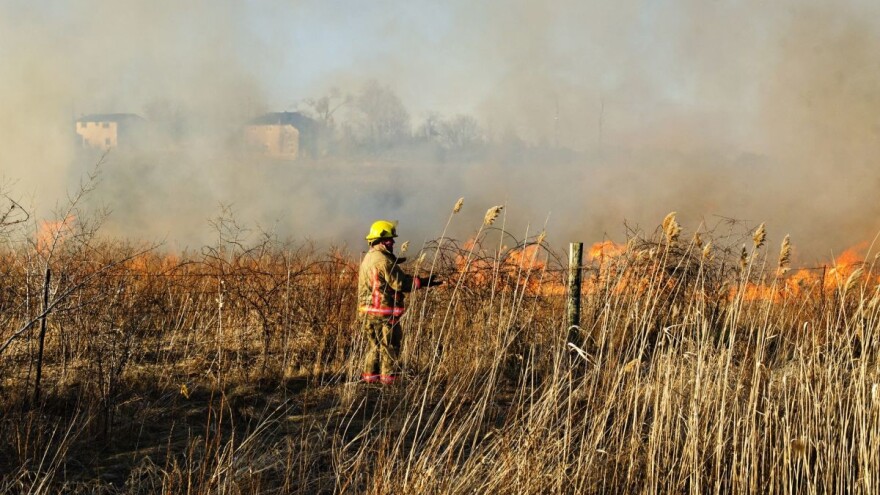Podmetnuti požari uništavaju staništa ptica u Srbiji i ugrožavaju ljudske živote