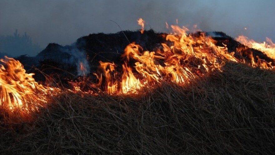 Apel - ne paliti vatru u prirodi
