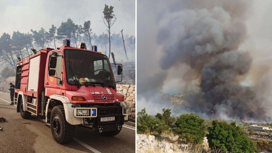 Požari su ovog ljeta uništili stotine hektara stoljetnih borovih šuma - što sada?