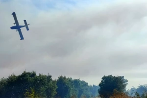 Požar progutao maslinjake, vinograde i štalu, jedan vatrogasac povređen