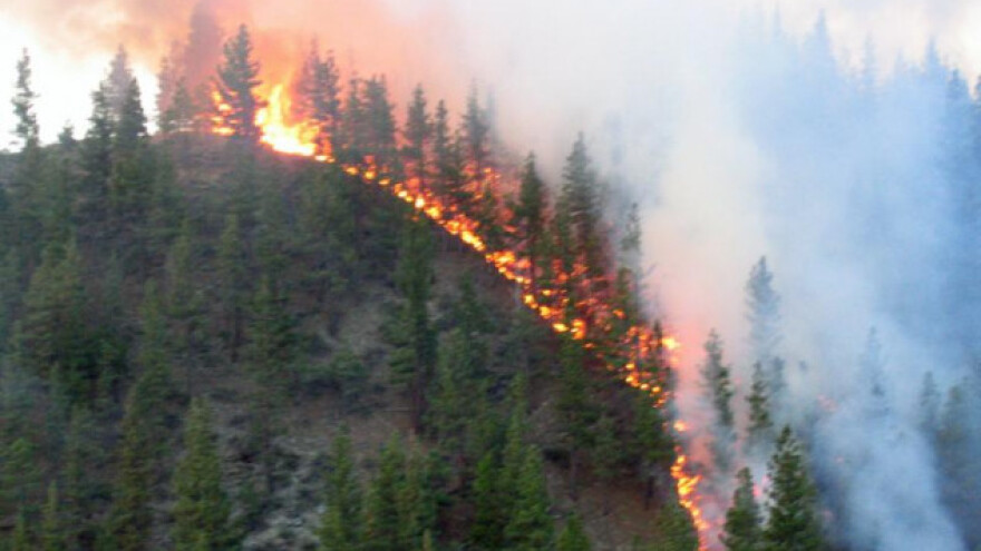 Čuvajmo šume, pazite pri spaljivanju otpada