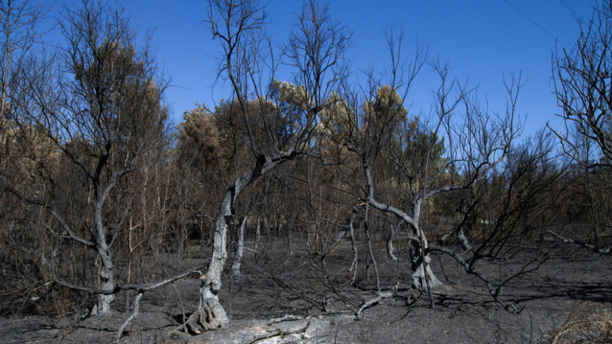 Potencijal koji je stradao u požaru obnovite EU novcem