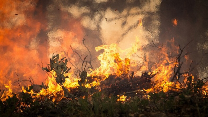 U Trebižatu nastradali nasadi i vinogradi