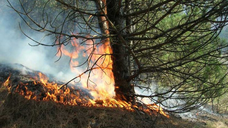 Sprečimo požar u našim šumama!