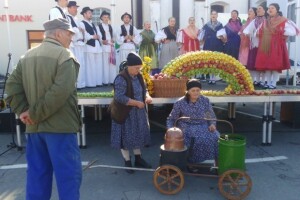Vlastite hladnjače i smanjenje poreza