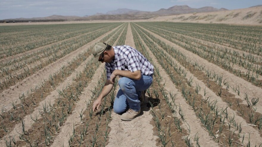 Elementarna nepogoda i u Požeško-slavonskoj županiji!