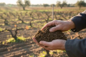 Poziv na radionicu biodinamičke poljoprivrede