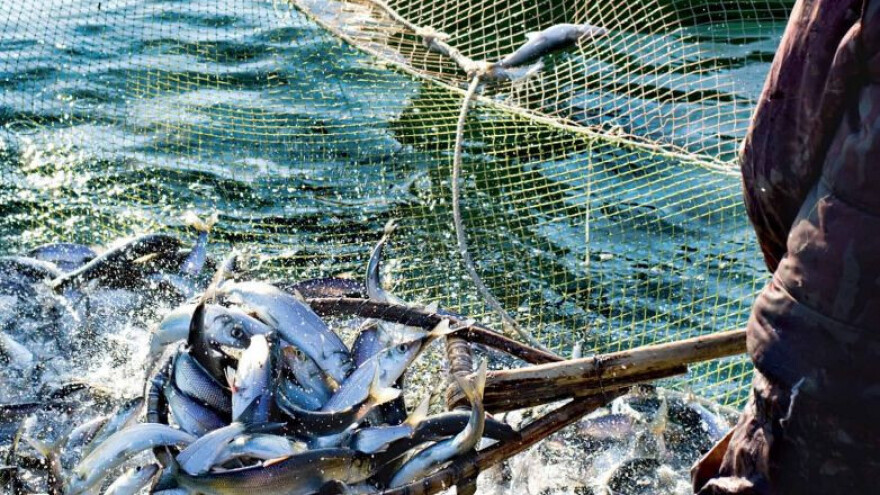 PP Orahovica 9 milijuna kuna za preradu ribe