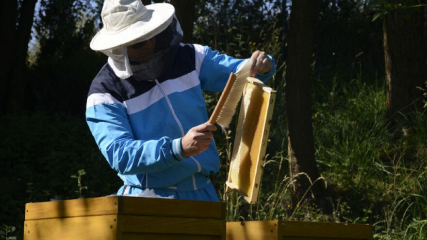Tisuće pčelara zajednički za zaštitu izvornosti