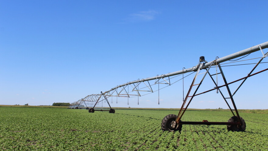 Stiže jaka i ekstremna suša: Stvara idelane uslove insektima