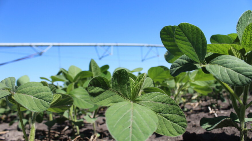 Kolika su ulaganja u navodnjavanje, a kolika je dobit?