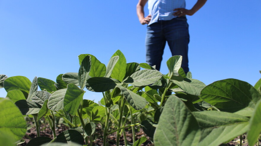 Ni ugar, ni sedam posto: Donesena Uredba o ublažavanju pravila uvjetovanosti za 2024.