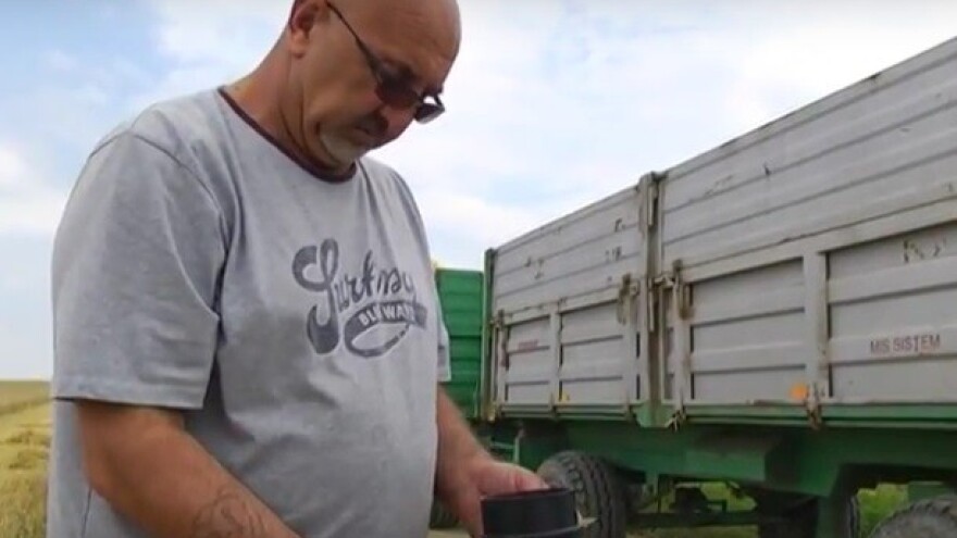 Imamo najkvalitetniju pšenicu u regiji