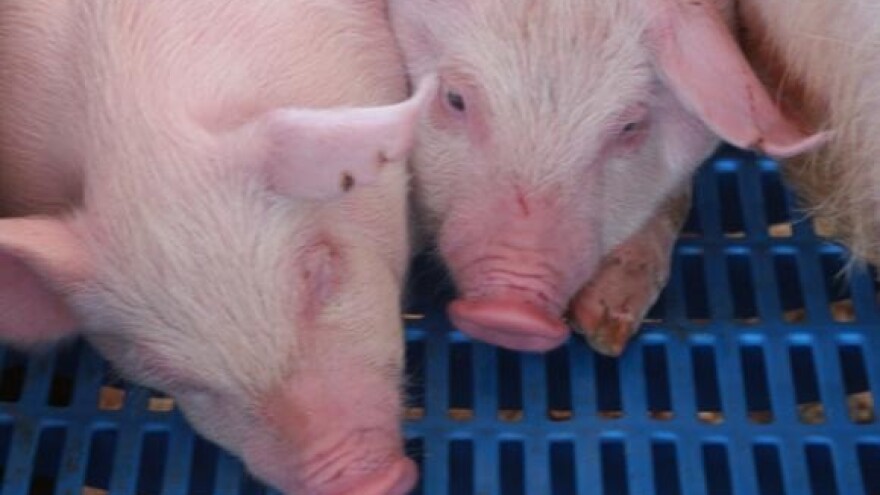 Moderni objekti zadnji uvjet za izvoz u EU