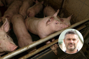 Udruživanje je jedini put oporavka sela, slavonski svinjogojci to prepoznali i povukli pola milijuna eura!