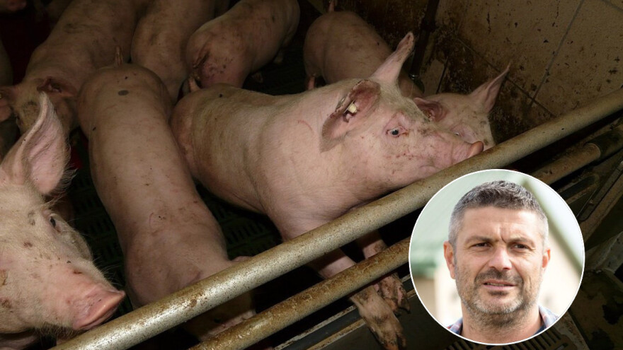 Udruživanje je jedini put oporavka sela, slavonski svinjogojci to prepoznali i povukli pola milijuna eura!