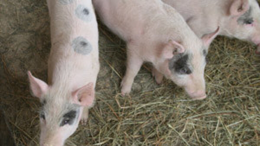 Manjak domaće sirovine