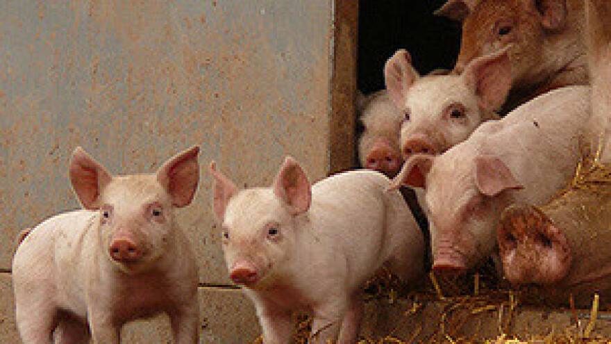 Seljaci ne mogu bez potpora