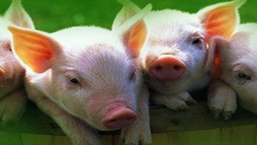 Neiskorišteno 100 milijuna eura EU novca