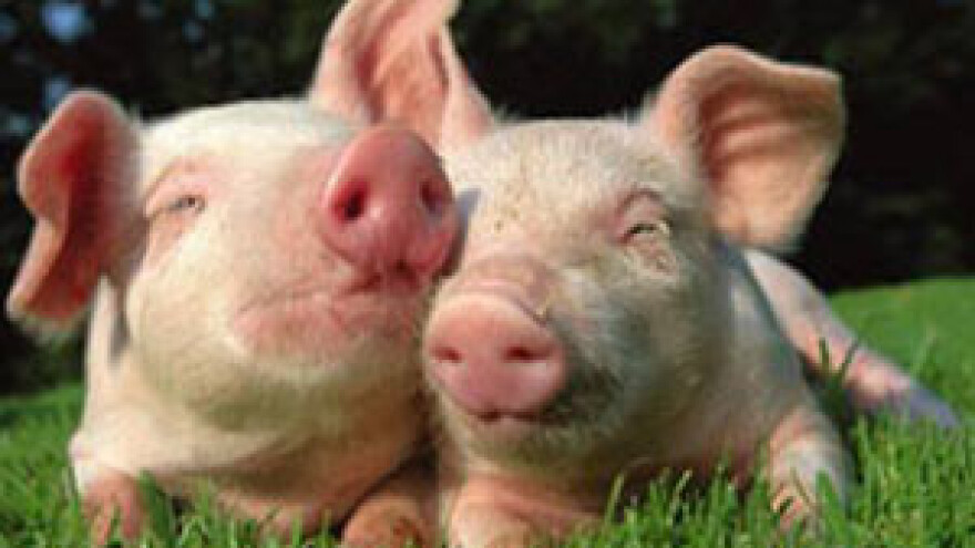 Pravilnim zbrinjavanjem gnoja do EU novca