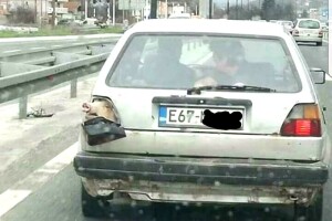 Umjesto žmigavca - svinjska njuška
