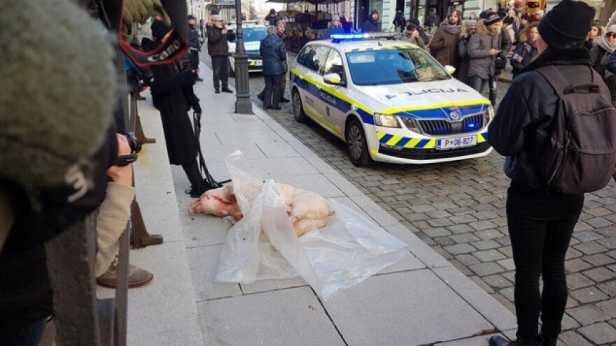 Po ulici vukla truplo zaklanog odojka