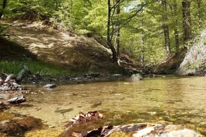 Za tri godine površine zaštićenih područija povećane za 100.000 ha