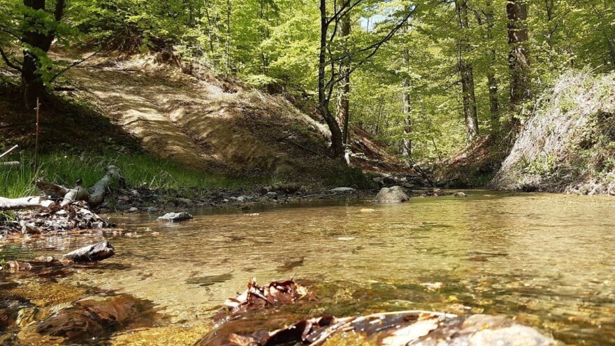 Za tri godine površine zaštićenih područija povećane za 100.000 ha