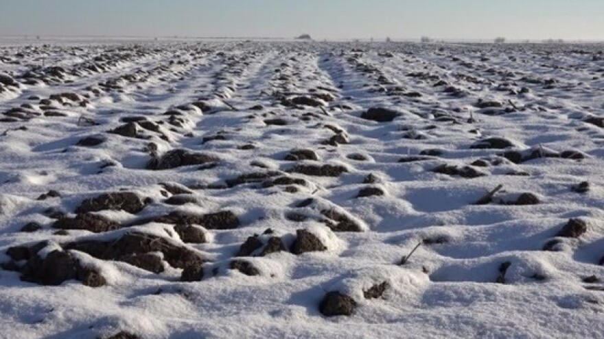 Prava zima tek dolazi - čeka nas pad u prinosima?