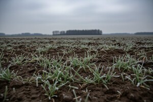Prava zima tek dolazi - čeka nas pad u prinosima?