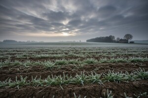 Prava zima tek dolazi - očekuje nas pad prinosa?