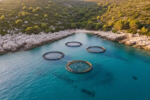 Pravila za ekološku proizvodnju u akvakulturi