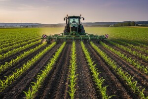 Pravilna prihrana okopavina