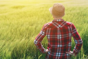 Kraj špekulacijama i podnošenju zahtjeva za potporu za neodržavanu parcelu!