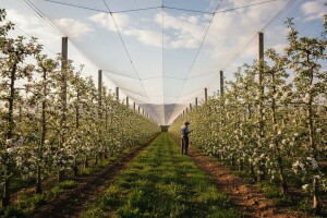 Pravo je vreme za širenje protivgradnih mreža