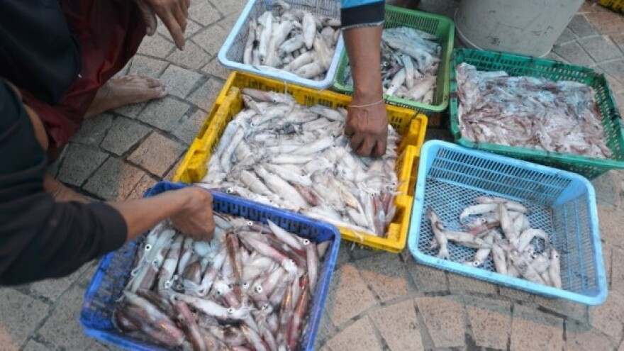 Svjetski dan hrane uz prazno more?