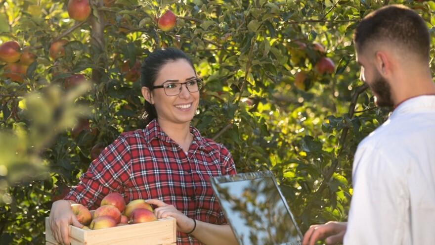 Precizna poljoprivreda - da li su proizvođači spremni?