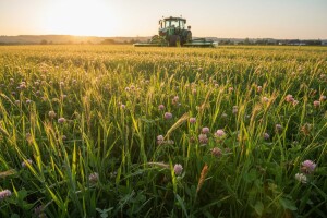 Pred početak spremanja sjenaže