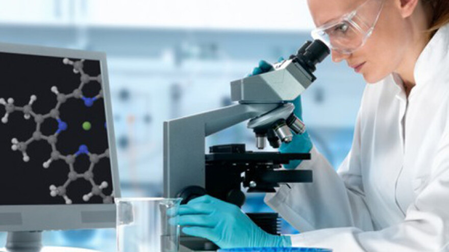 Kako izvoziti hranu u SAD?