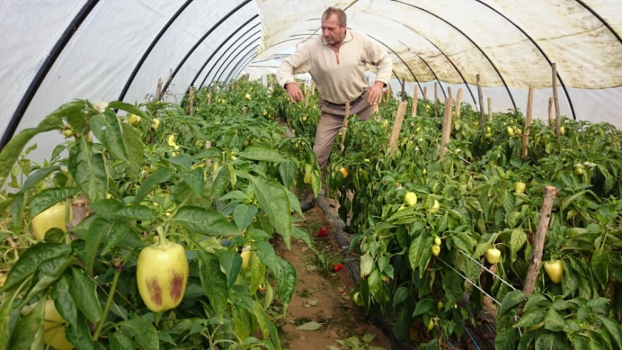 O dopunskim djelatnostima i sufinanciranju!