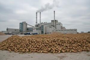 Predsjednica Vlade Jadranka Kosor posjetila Sladoranu