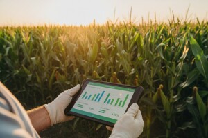 Predstavljamo novo postavljenu internet stranicu Syngente