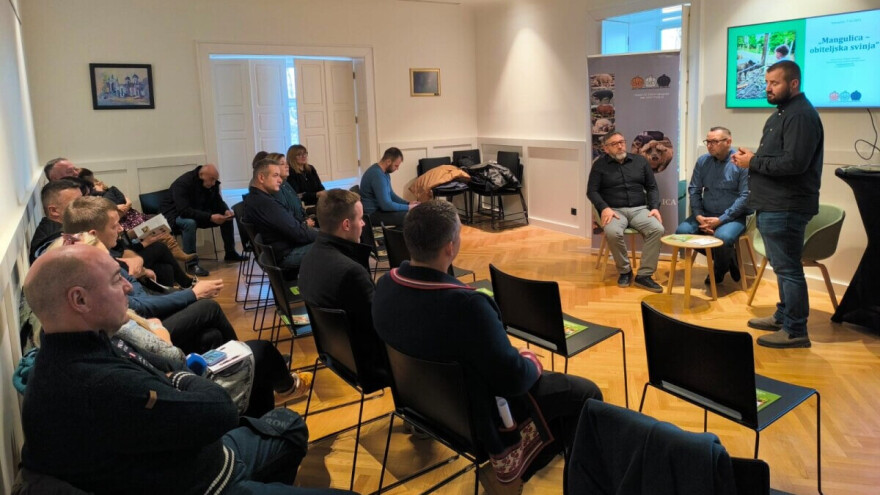 Budućnost uzgoja mangulica leži u obiteljskim gospodarstvima