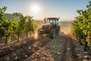 Predstavljen Clemense