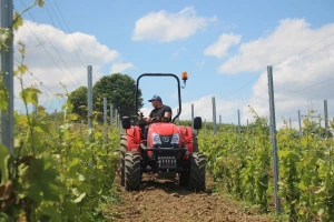 Kioti u vinogradu - u redu podrivač, između redova univerzalni stroj