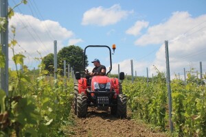 Kioti u vinogradu - u redu podrivač, između redova univerzalni stroj