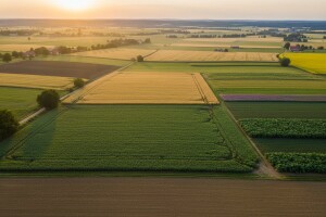 Predusjevi - naputak EU