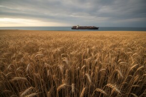 Predviđa se pad svjetske proizvodnje žitarica
