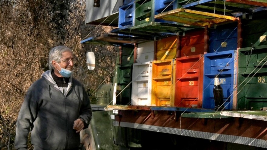 Povoljna zima: Pčele već imale nekoliko pročisnih letova