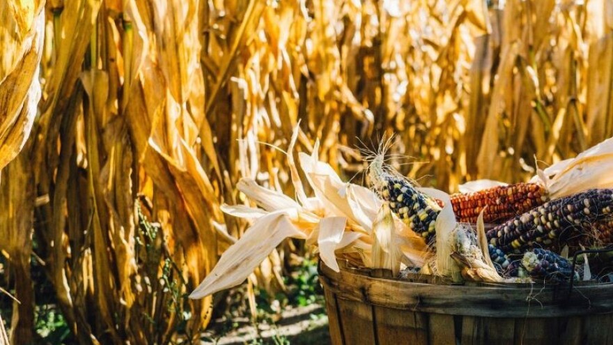 Drugi okrugli stol Protiv prehrambene ovisnosti RH